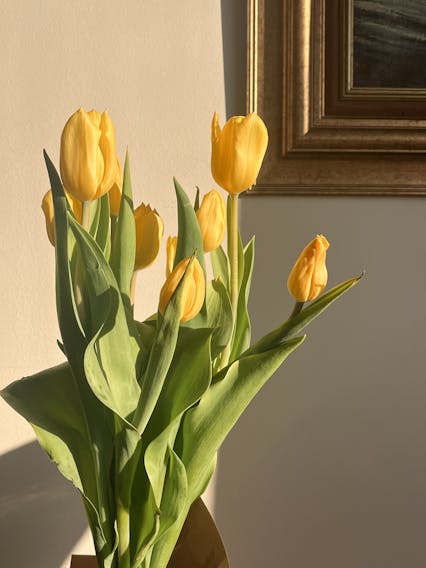 Tulips
